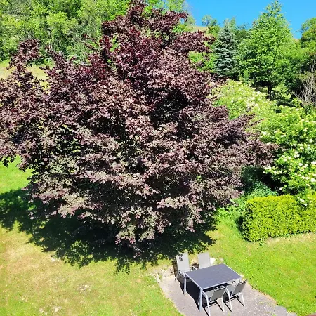 Appartement Forsthaus Willingen (Upland)